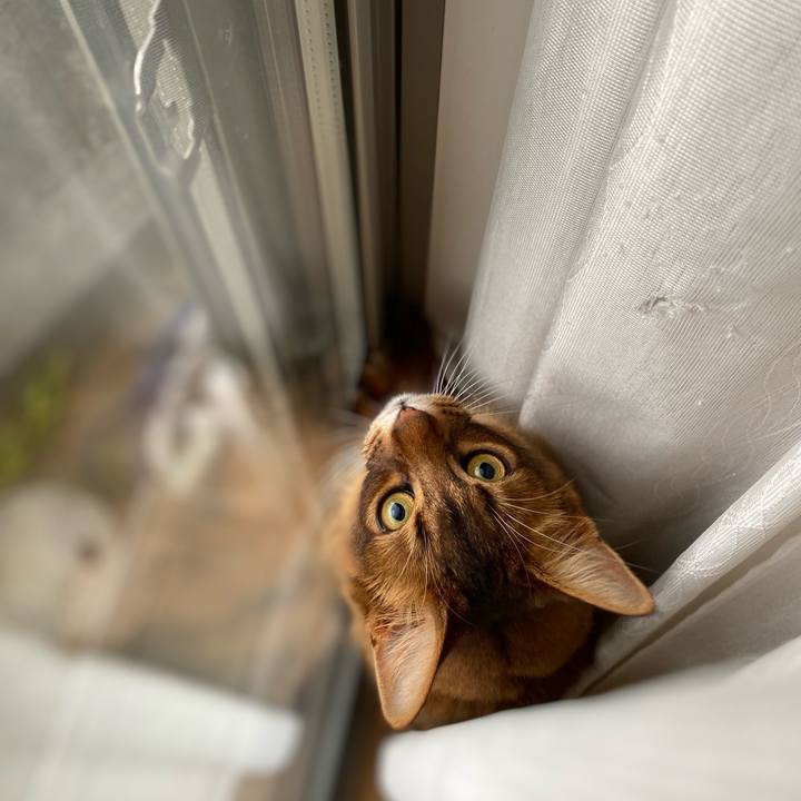 29e31759 4a56 4086 a9af fcae294a2834 1653552169112