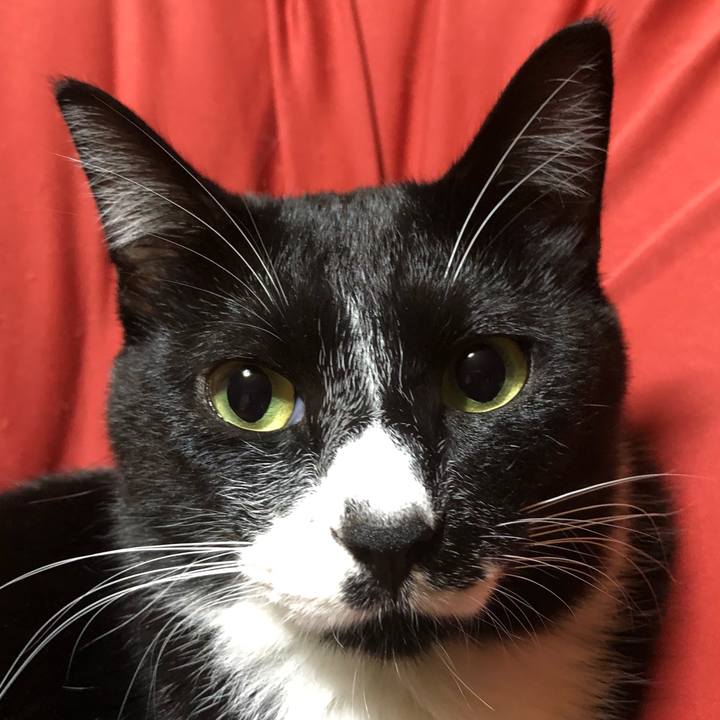 29e3249d 891c 45b5 8522 6846ea24e94b 1538971663662