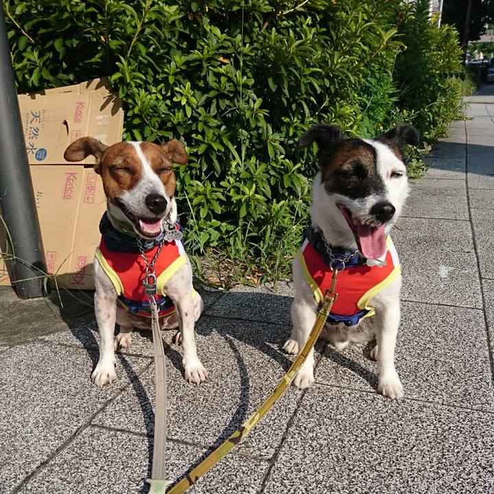 29e33ba2 8d81 4f7b 9018 a29eaf618d8f 1596753859355