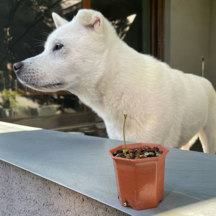 29e34dfe b360 4fc0 ab10 4544cf4c43f0 1753586044595