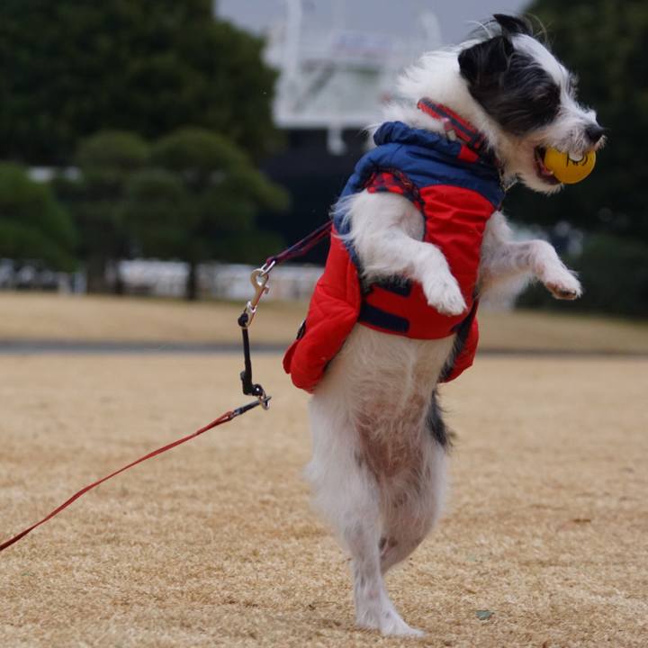 29e35aa9 f2b6 48a3 bd8e 0bbd9840fd42 1547203571538