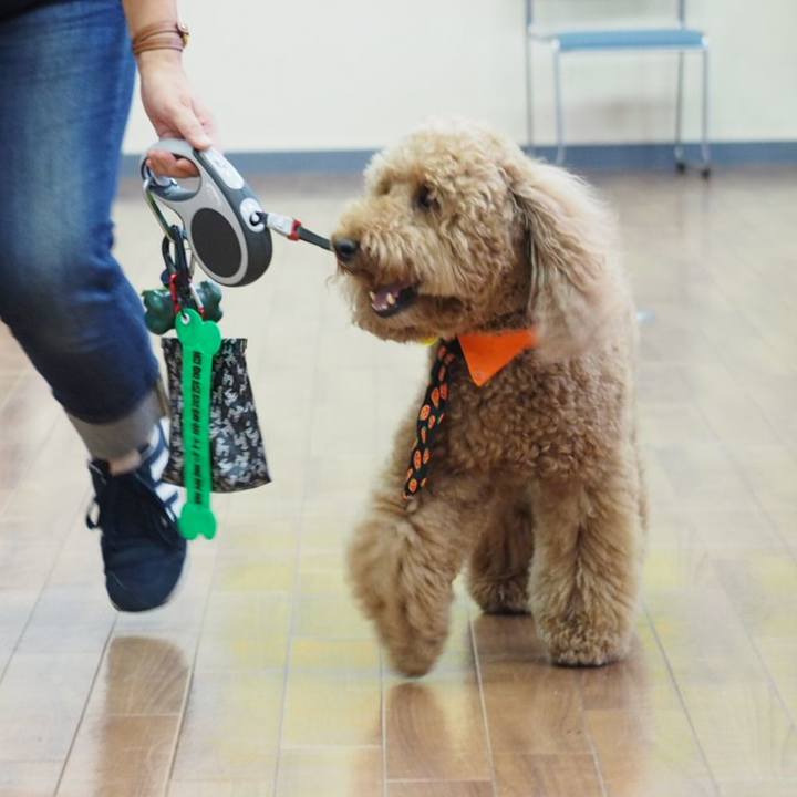 29e36832 53b2 4834 bcbd dfa492ef64d3 1539348458686