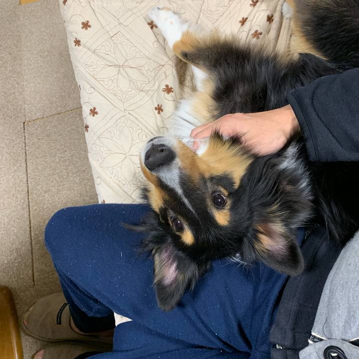 29e36a03 c66f 4f01 a1c9 153f371f5d2e 1548021534898