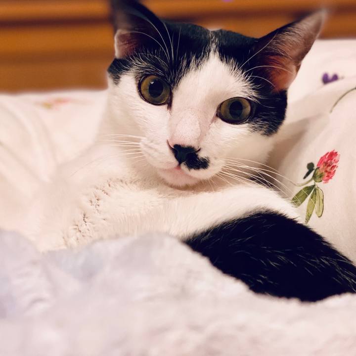 29e371b3 b92d 46c9 934a eccf29056d27 1587648955953