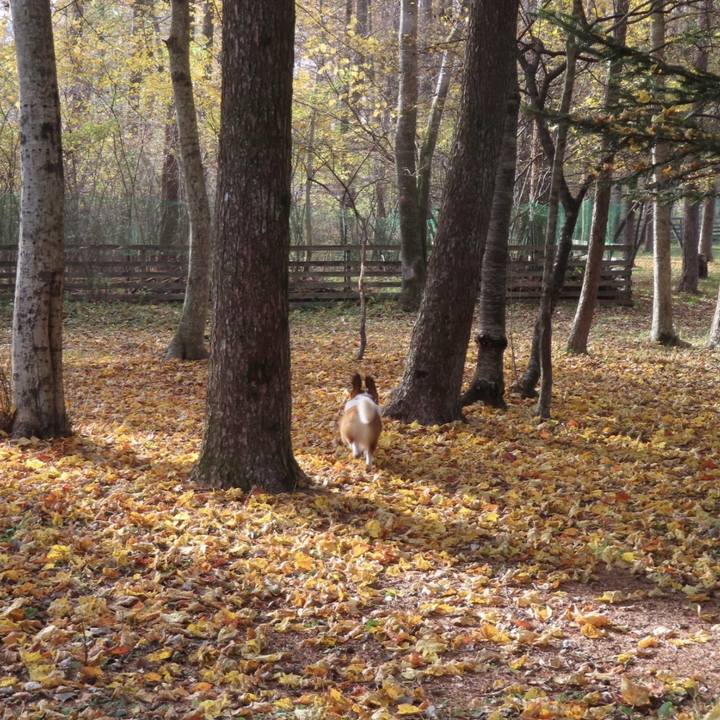 29e38ee9 2b27 4c7c b47b c18259f23ab0 1700182917388