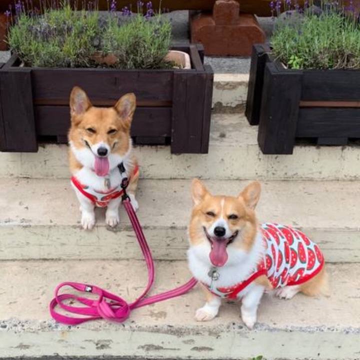 29e3a311 6a1e 4a2d a178 5693944baee8 1764380945487