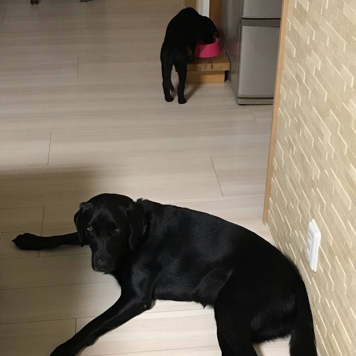 29e3c37a efc5 4f48 807f c605503b00c0 1569414092572