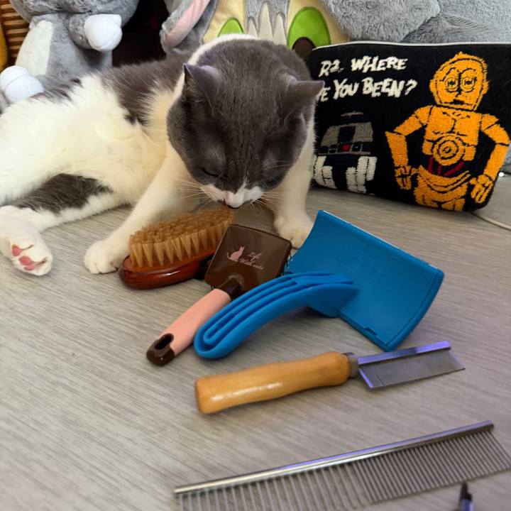 29e41bc4 935f 4fc7 b59e 30aef1715fa3 1759636795515