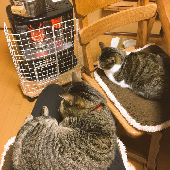 29e438c7 e802 4759 b8d9 9c2ba869352f 1516793666287