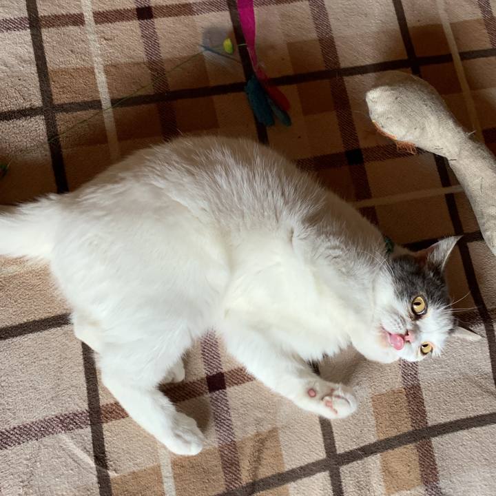 29e4559f 7e80 46a2 b915 a4ca36df0c10 1686701553511