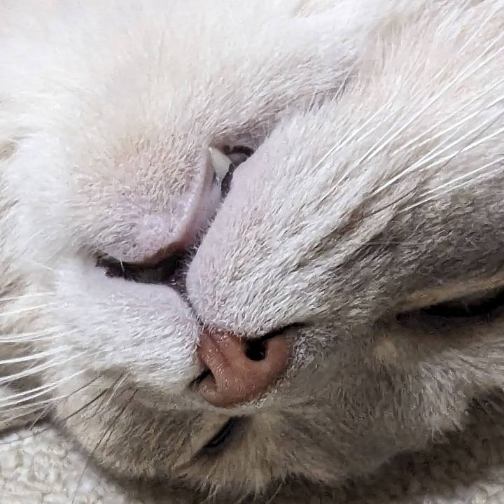 29e45a88 93f6 4860 92ce a2f0382e595f 1695455747455