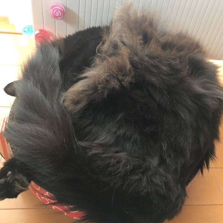 29e45cc5 d078 46cf 8974 b54d55382a88 1549594854573