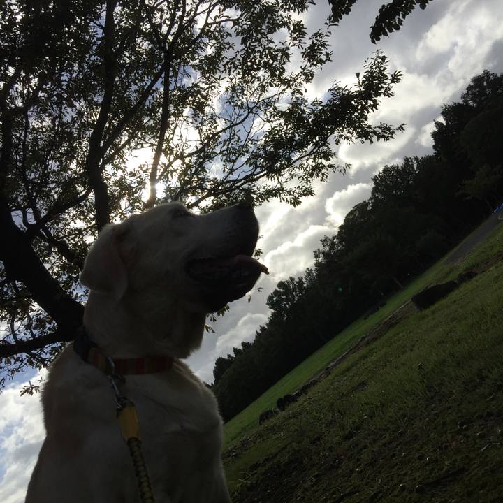 29e47108 edf3 49d3 99e4 fee5ba70a890 1539167212630