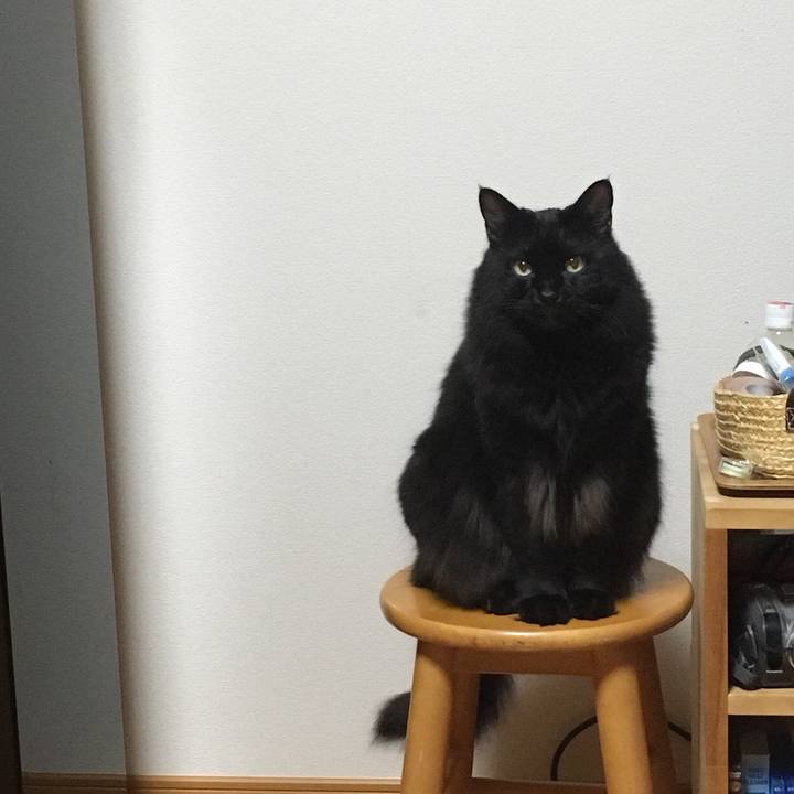 29e4ac52 4278 41b5 8ce5 b77a1bbf4a12 1536758691663