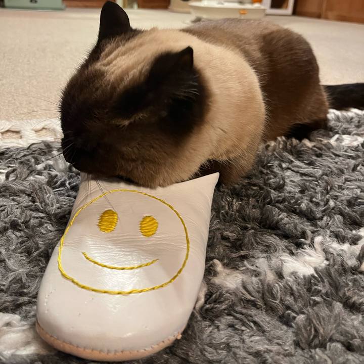 29e4bdcf c8a5 4504 85b5 308b96835805 1711413152797