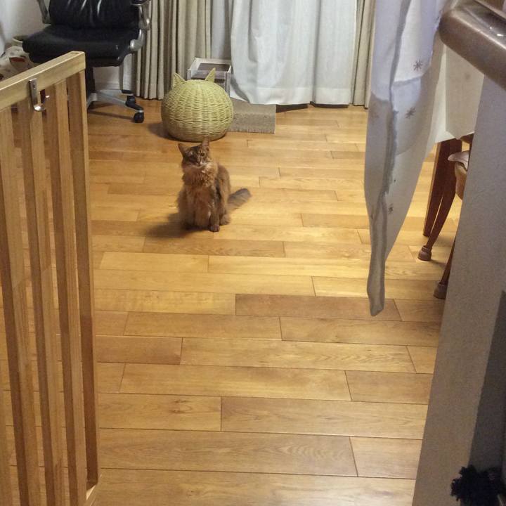 29e4bfe7 2d83 49d0 b35d 503193c99e96 1623741576072