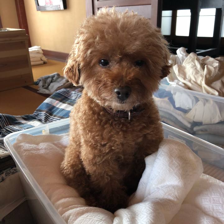 29e4d38d e9fe 4e42 a839 3ed162a518bf 1549427813648