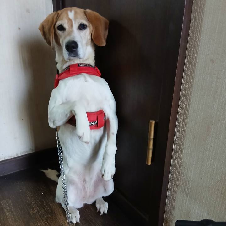 29e4f206 8cbc 4670 9eb4 1faaecefe331 1775033420977