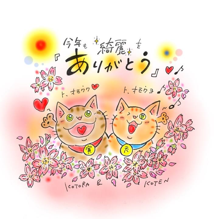 29e5107e 7475 41e5 861b 63148d527a34 1586278170871