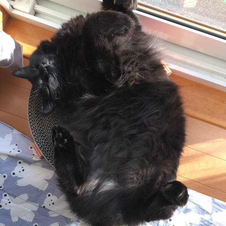 29e52427 44b7 4d9e 8f09 0d0cd54ef12e 1524725918484