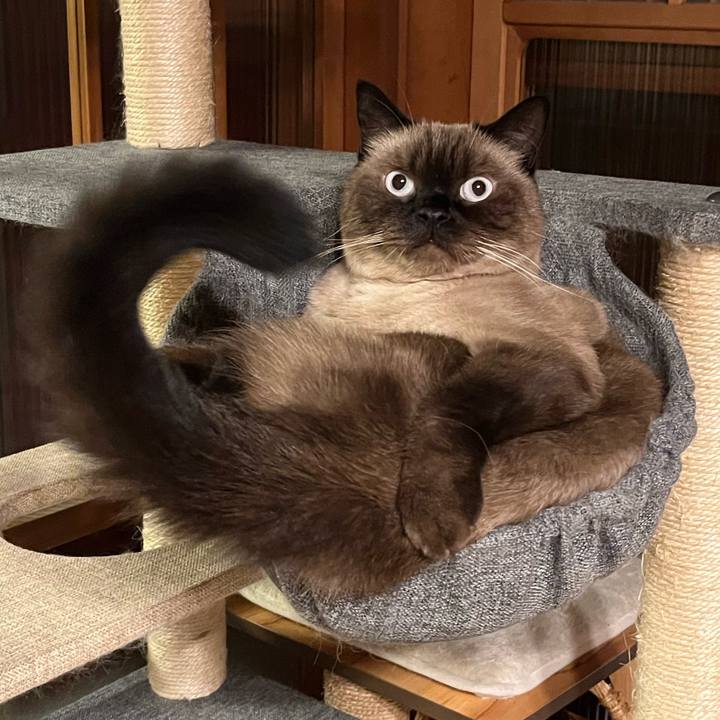 29e52920 9b7e 4bf2 bd34 8253d512a46c 1663568220597