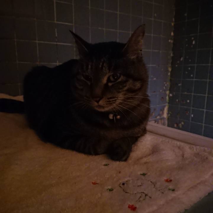 29e54265 0040 4e4a a1ab 4b713130046d 1653563131651