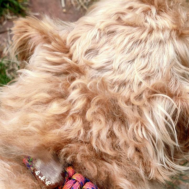 29e55180 2df3 430a be55 35c2d5ce643a 1588907153584