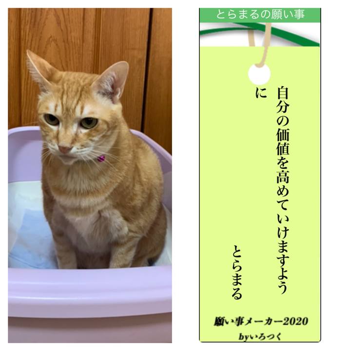 29e56589 67fd 4670 8fbe 04750d3767fc 1594093122941