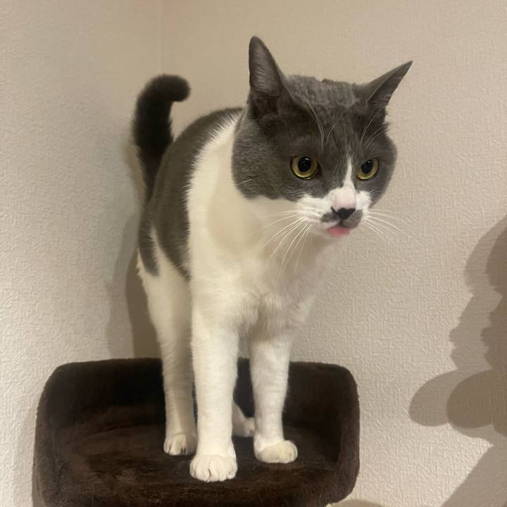 29e57177 d371 4058 a5a2 f71064fde862 1704621132612