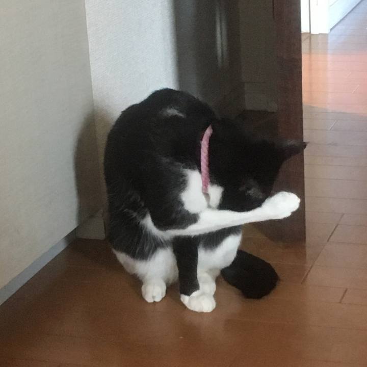 29e580f3 bedd 4f81 bfae 8e30048c6ebe 1590812896986