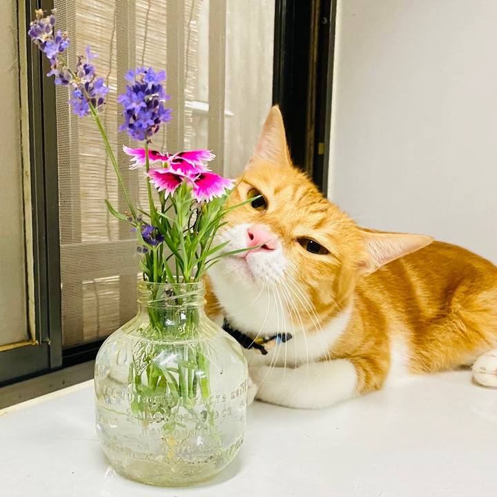 29e5c12c aed5 48b3 b2fe 5fbb03b6da44 1663483200450