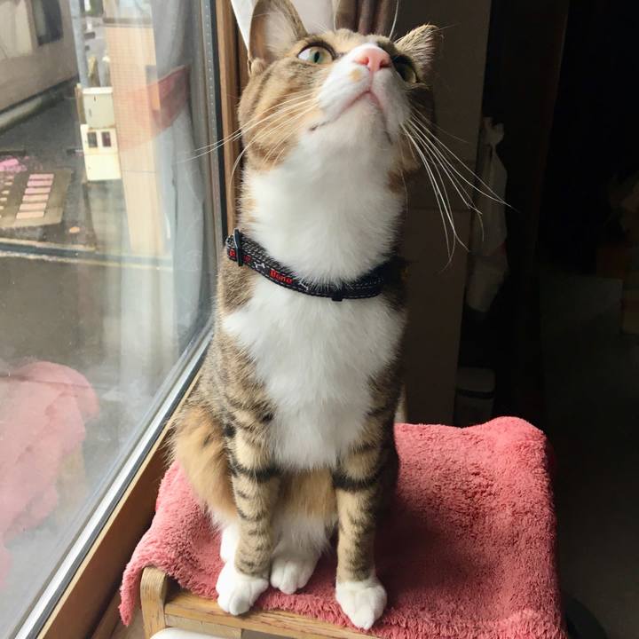 29e5c7b3 5502 4988 9688 9a14cac9faca 1687495499767