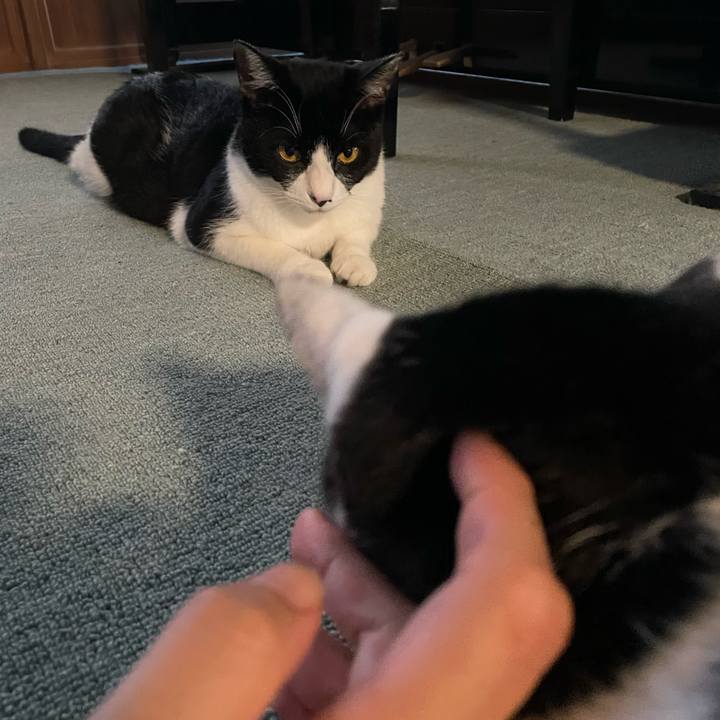 29e652bb f202 4d19 80fe 39f5cb00143c 1690588274689