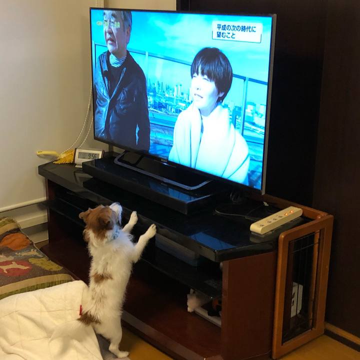 29e6548e e92e 4c14 8725 9773336b4e00 1546385277980