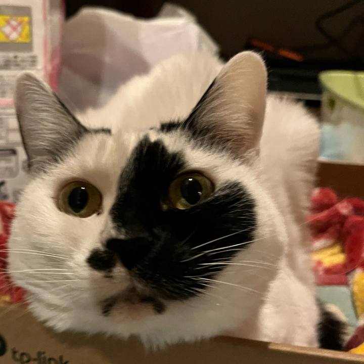 29e65a9c 070e 418d 89da 5b107176a73f 1773323509741