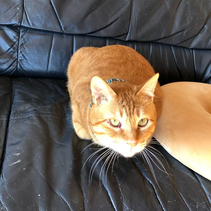 29e66152 423b 48fa 8a2a 01d446ca4102 1554892809021