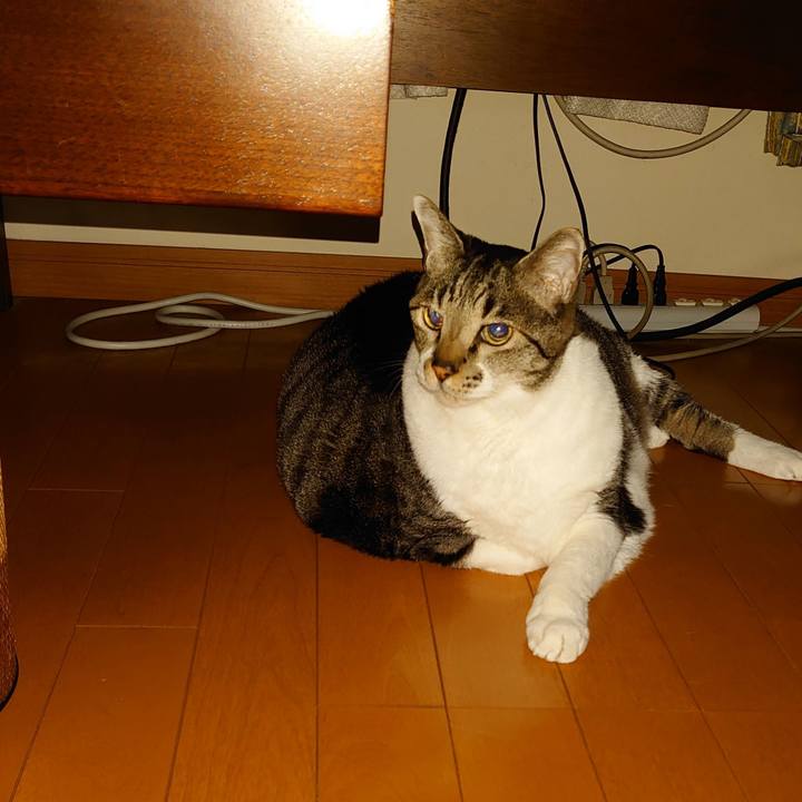 29e662cd bd7e 4df5 bd31 1f7bbd6c1a27 1772175068390