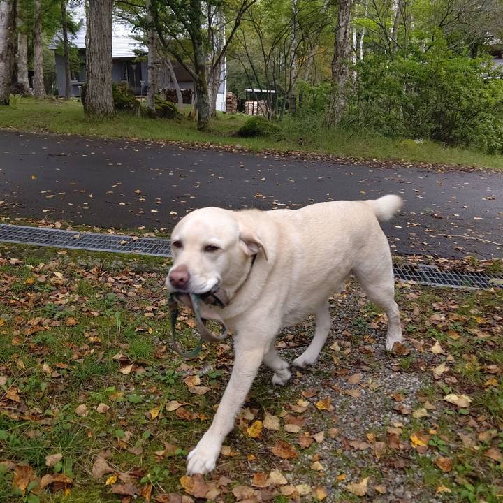 29e69227 bfc2 4f02 b599 214fde2086b2 1692842810403