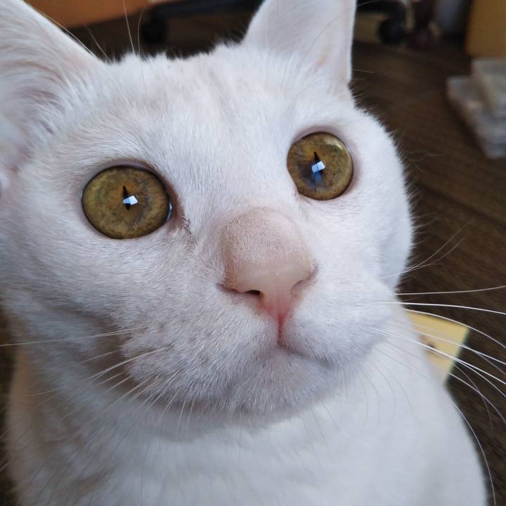 29e6dfa5 eb7e 4e71 b499 af169b056a3e 1566529364855