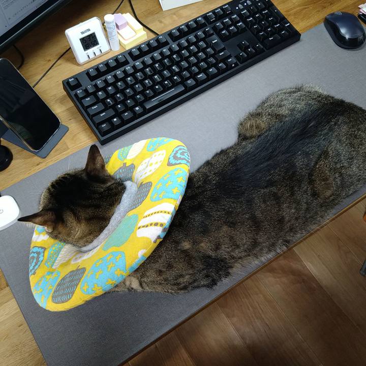 29e6f031 4caa 4c1f 8860 dd643442b98d 1732171178847