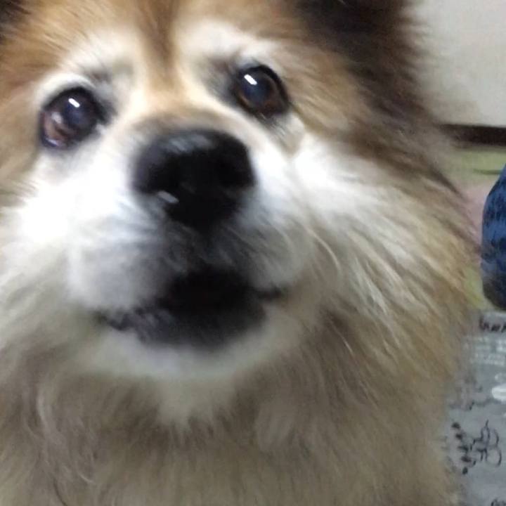 29e6fa83 5a80 4de5 b66b aac51722433c 1616118085793