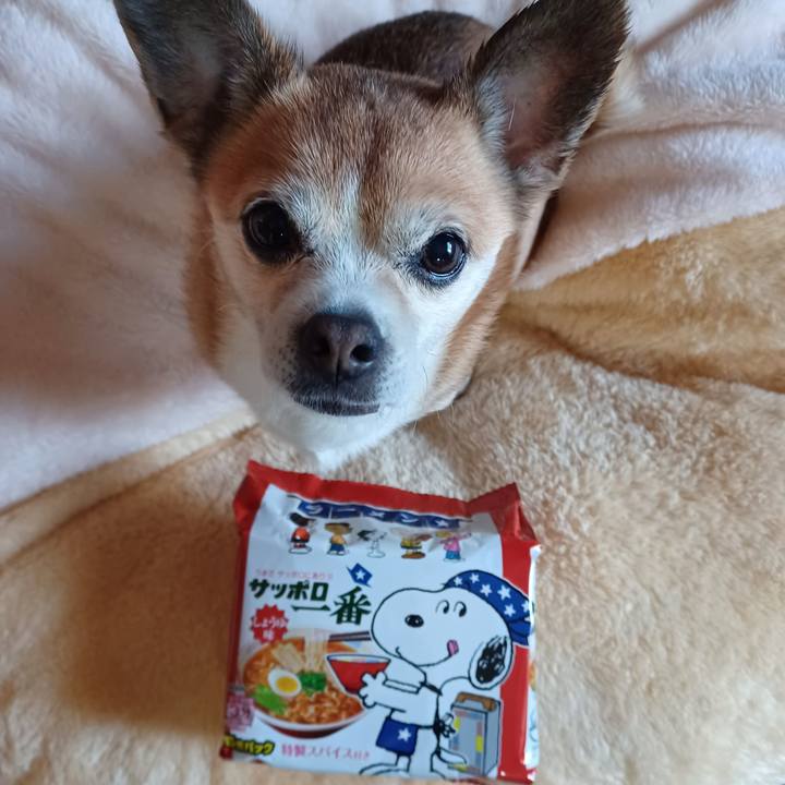 29e72621 8ab9 467a 91fc 3b9909a3591f 1766796805415