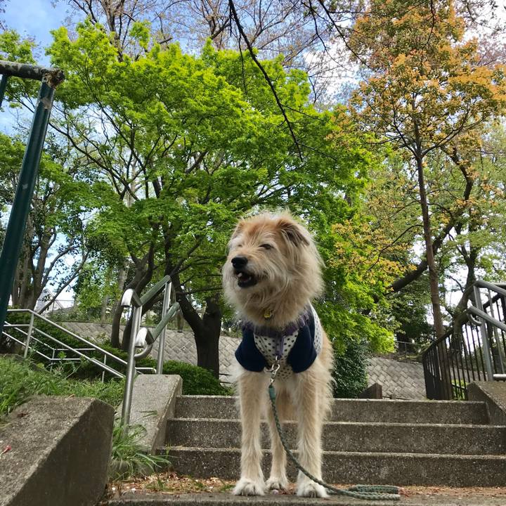 29e77d6d d3c3 45ca 95b5 1c0ab2acc265 1586497315750