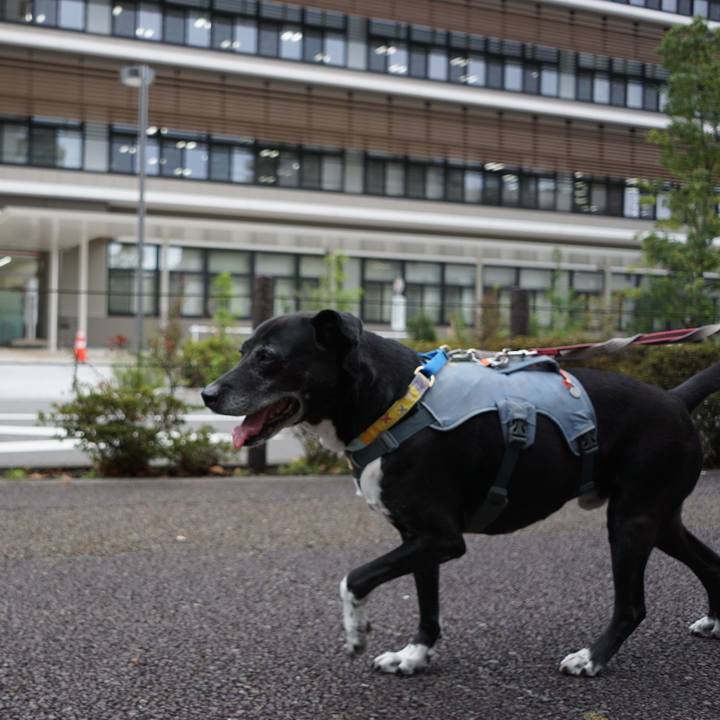 29e77ed2 7a3c 4e95 96af 5b789b470613 1761010682683