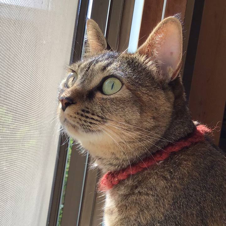 29e7d50a 94c2 4a26 93d2 c9274ea6fefc 1633308450334