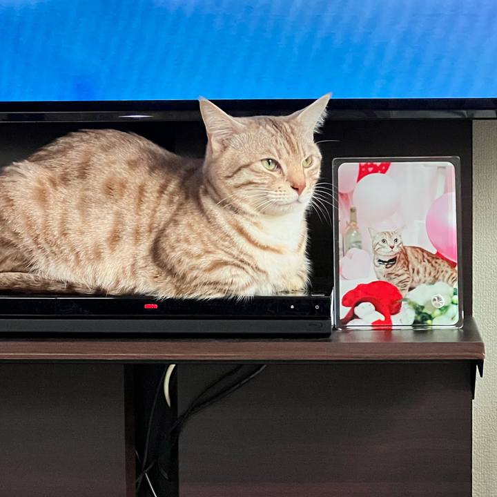 29e7eec9 a133 498c ba53 39eedd8c7fd4 1679783896936