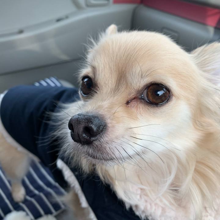 29e7f956 7060 4105 a51d cacf574c5691 1609475629415