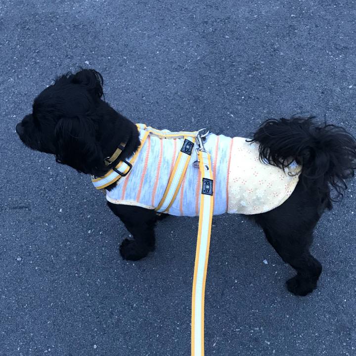 29e82c08 d2aa 4d1a 8d46 6daac65cdce1 1531399630460