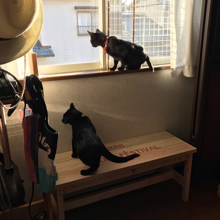 29e848bb c530 4a8d a3d3 3dd2795e852d 1547878828088