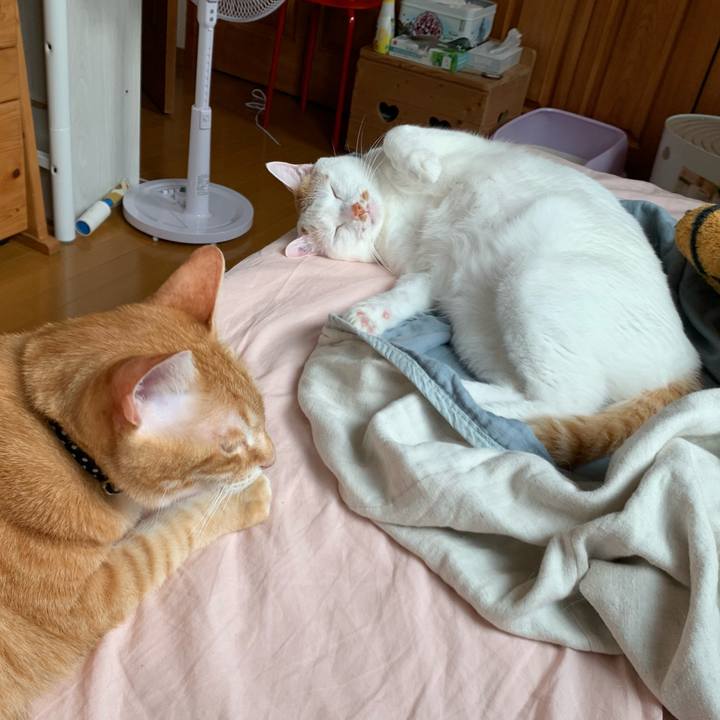 29e84970 4949 46d0 9325 ccc56b16fa5e 1590815716027